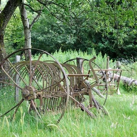 Hendre Aled Cottage 1 Llansannan المظهر الخارجي الصورة