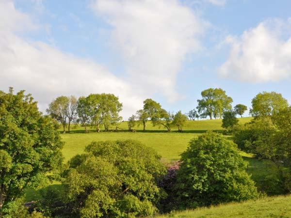 Hendre Aled Cottage 1 Llansannan المظهر الخارجي الصورة